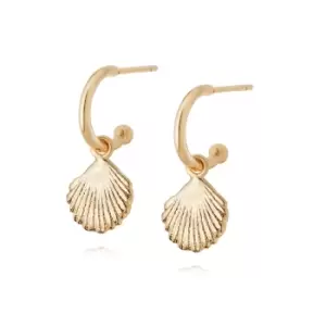 Image of Daisy London Jewellery 18ct Gold Plated Sterling Silver Isla Shell Drop Earrings 18Ct Gold Plate