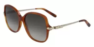 Image of Salvatore Ferragamo Sunglasses SF 990SR 214
