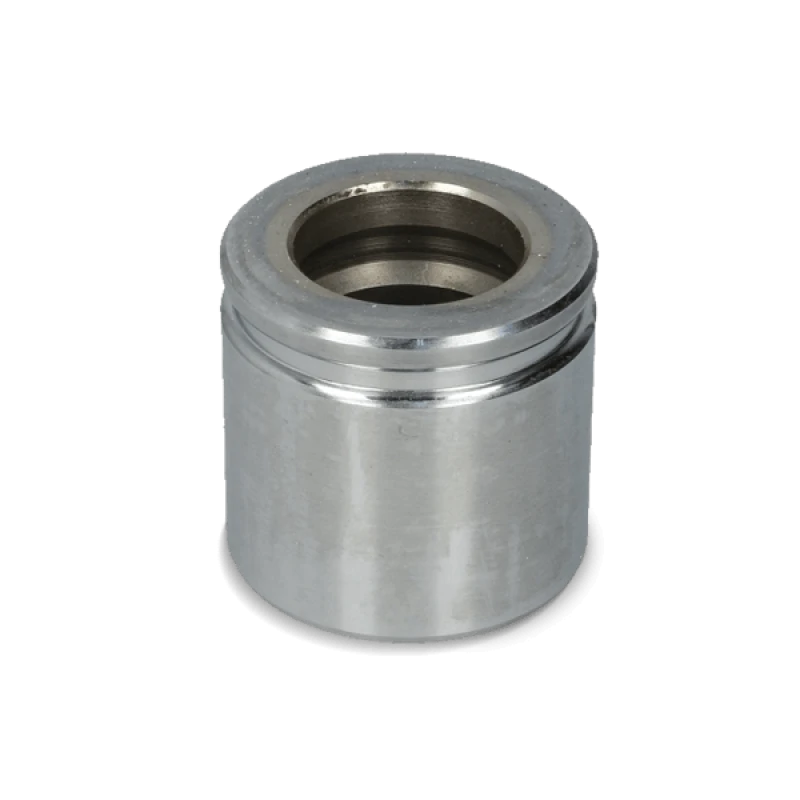 Image of AUTOFREN SEINSA D02556 Piston, brake caliper Steel Piston,brake caliper (2248)