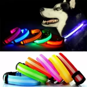 Image of Adjustable LED Flashing Light Safety Luminous Dog Puppy Pet Glowing Collar - Red - Medium - Bunty
