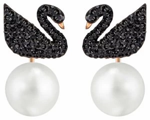 Image of Swarovski Iconic Swan Pierced Pearl Earrings Black Jewellery