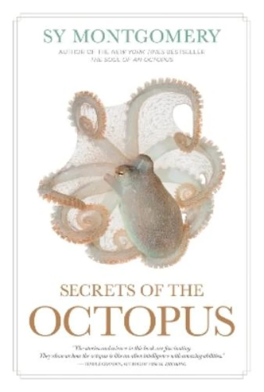 Image of Secrets of the Octopus Paperback / softback