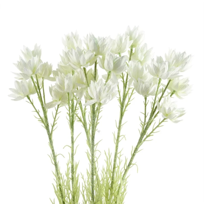 Image of Leaf Pack of 6 x 60cm White Starflower Stem - 5 Flowers White unisex