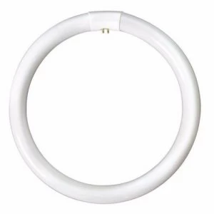 Image of Bell 32W CFL T9 G10q Circular Bulb - Cool White