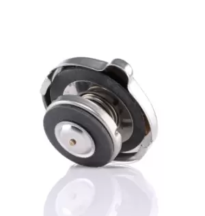 Image of TRISCAN Radiator Cap 8610 1 FIAT,SKODA,SEAT,X 1/9 (128_),RITMO I (138A),132 (132_),105,120 (742),105,120 (744),130 Limousine