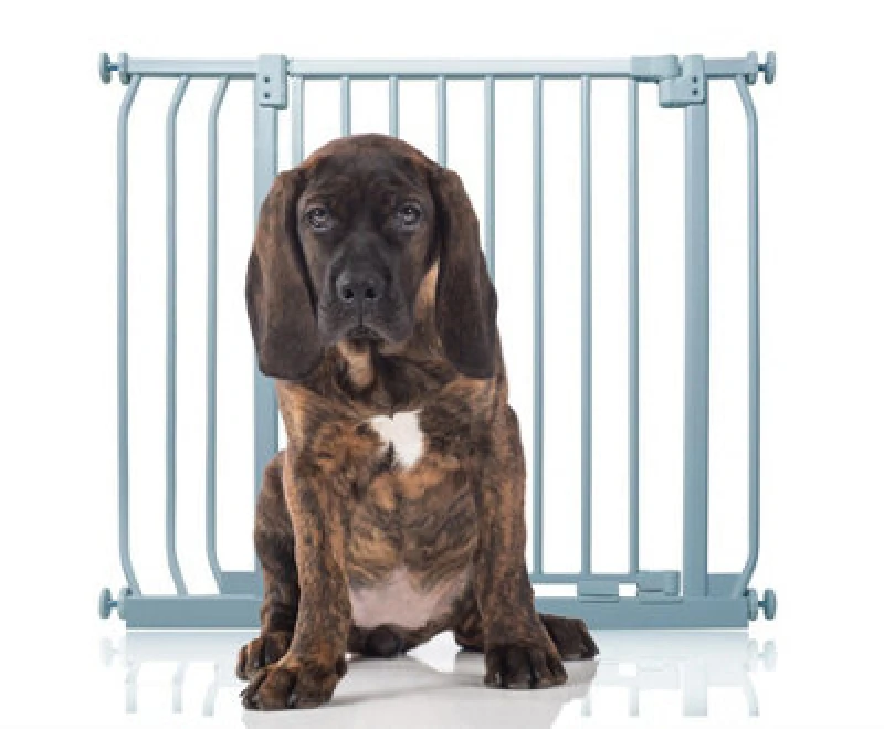 Image of Bettacare Elite Pressure Dog Gate, 80Cm - 89Cm, Matt Grey, Pressure Fit Pet Gate For Dog And Puppy