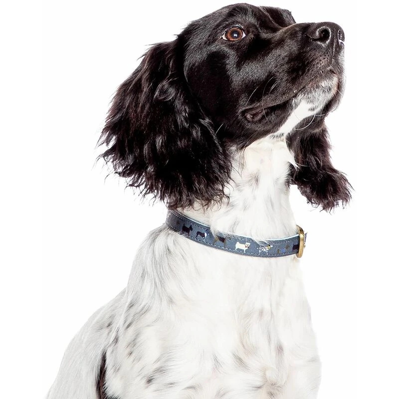 Image of Fat Face Danish Designs FatFace Marching Dog Collar - sml - 811493 811493