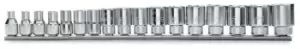 Image of Beta Tools 910B/SB 17pc 3/8" Square Drive Bi-Hex Metric Socket Rail Set 6-22mm