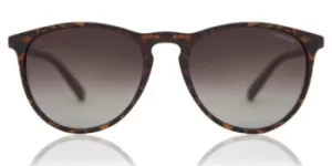 Image of Polaroid Sunglasses PLD 6003/N/S Polarized V08/LA