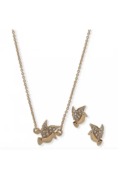 Image of Anne Klein Jewellery Jewellery Set - 01B00032 Rose