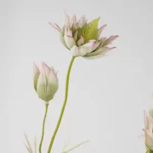 Image of Crossland Grove Blushing Bride Spray Green (6Pk) 660Mm