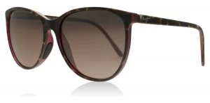 Image of Maui Jim Ocean Sunglasses Tortoise Raspberry 12b Polariserade 57mm