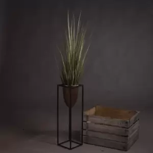 Image of Spray Grass 36 Inch