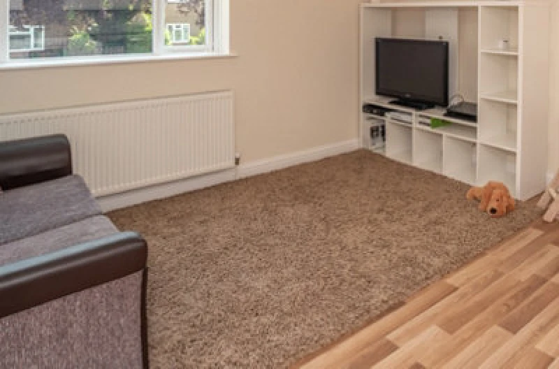 Image of Smart Living Smart Living Soft Fluffy 5cm Thick Pile Shaggy Area Rugs for Living Room, Bedroom in Medium Beige Size: 60cm x 110cm Medium Beige 60cm