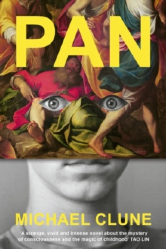 Image of Pan Hardback
