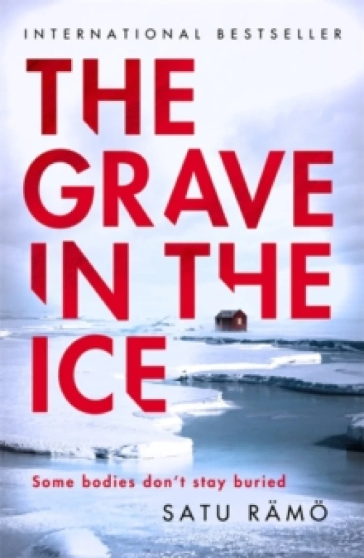 Image of The Grave in the Ice : The international bestselling, award-winning thriller Paperback / softback