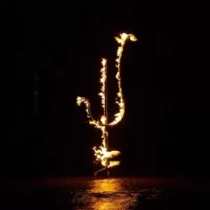 Image of Hellfire Ocean Void by Demon Head CD Album