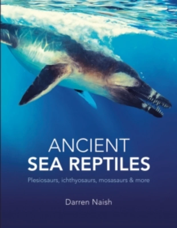 Image of Ancient Sea Reptiles. Paperback. By Darren Naish Books