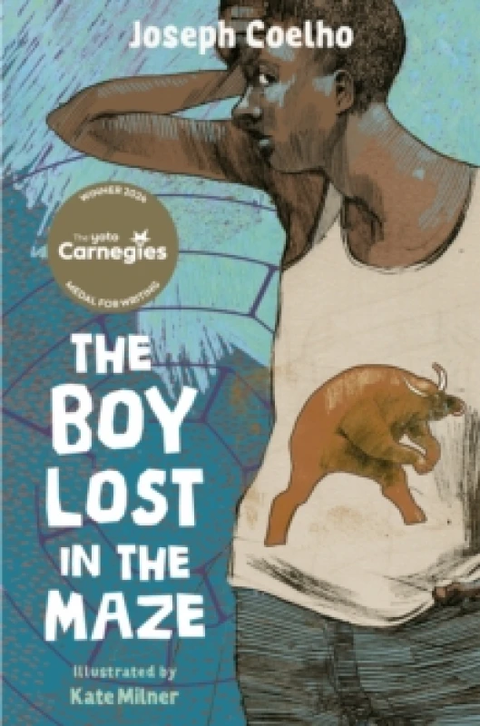 Image of The Boy Lost in the Maze Paperback / softback