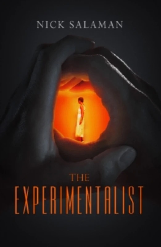 Image of The Experimentalist Paperback / softback