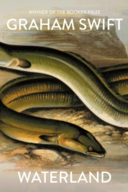 Image of Waterland Hardback