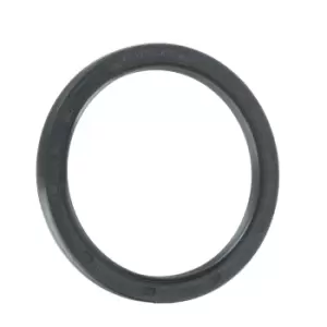 Image of REINZ Crankshaft Seal FIAT,MITSUBISHI,MINI 81-34798-00 11111492244,4621939AB,55223567 Crankshaft Gasket,Shaft Seal, crankshaft 11111492244