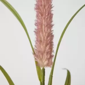 Image of Crossland Grove Cattail Stem Pink (6Pk) H1100Mm