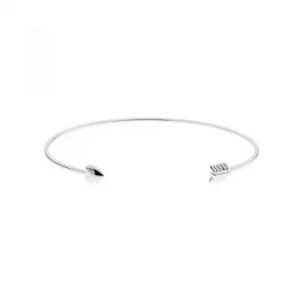 Image of Ted Baker Ladies PVD Silver Plated Bangle