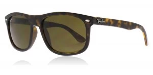 Image of Ray-Ban RB4226 Sunglasses Tortoise 710/73 56mm