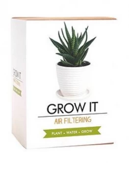 Image of Gift Republic Air Filtering Grow Your Own Plant