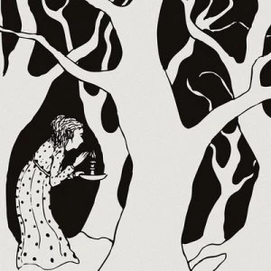 Image of Wilderness Love by Shadow Band CD Album