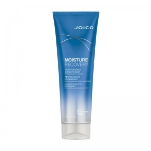 Image of Joico Moisture Recovery Conditioner 250ml