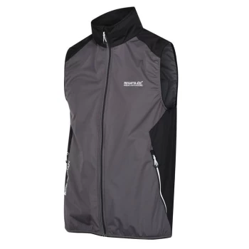 Image of Regatta Lankin III Softshell Bodywarmer - Grey