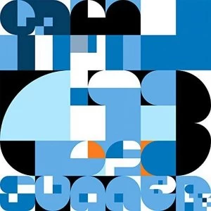 Image of Malcolm Middleton - Summer Of 13 Vinyl