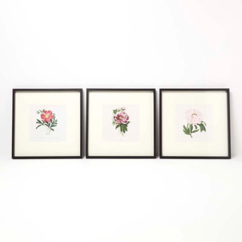 Image of Homescapes Wall Decoration Set Of 3 Frames With Picture, Peonies