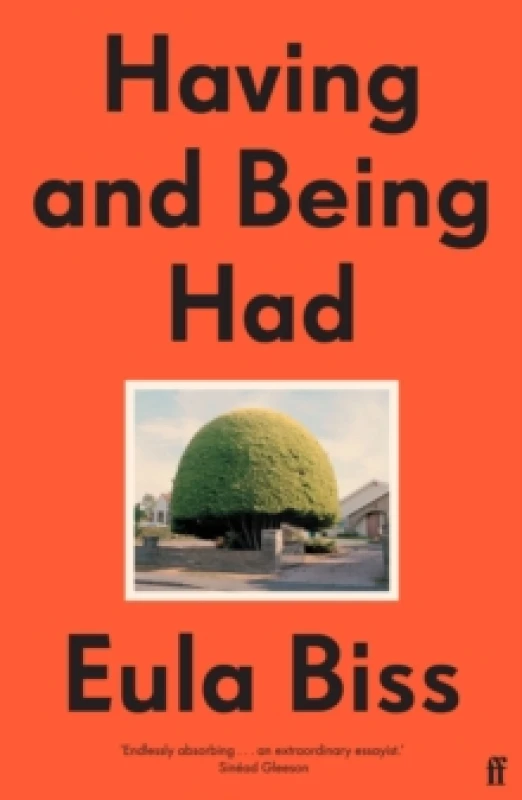 Image of Having and Being Had Paperback / softback