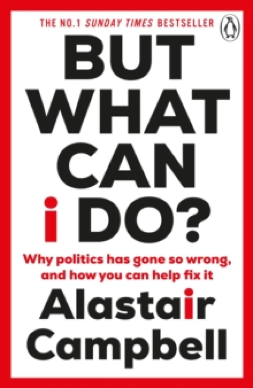 Image of But What Can I Do? Why Politics Has Gone So Wrong, and How You Can Help Fix It Paperback / softback