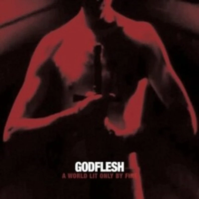 Image of Godflesh A world lit only by fire LP multicolor Onesize Unisex