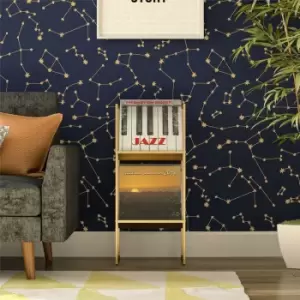 Image of Helix Vinyl Record Collection Storage Gold By Novogratz