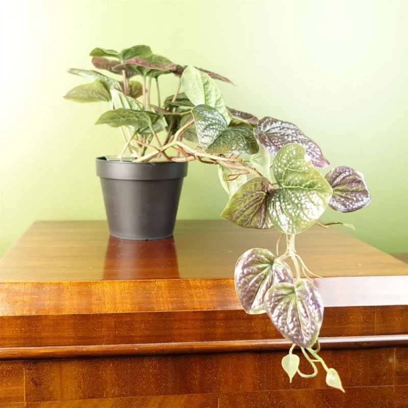 Image of Leaf Artificial Trailing Purple Potted Pothos Plant Botanik Purple