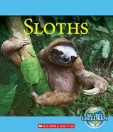 Image of sloths natures children