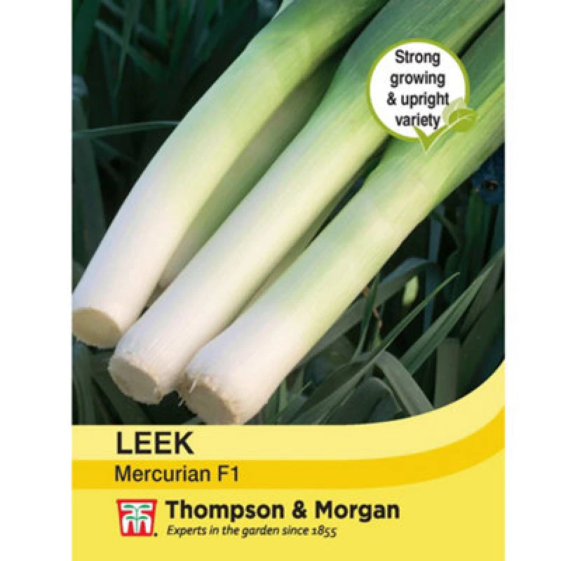 Image of Thompson & Morgan Leek Mercurian 1 Seed Packet (75 Seeds)