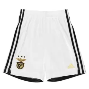 Image of adidas Benfica Home Shorts 2020/21 Juniors - White