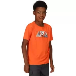 Image of Regatta Boys Alvarado VII Quick Dry Graphic T Shirt 7-8 Years - Chest 63-67cm (Height 122-128cm)