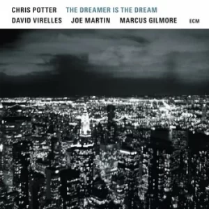Image of The Dreamer Is the Dream by Chris Potter Vinyl Album
