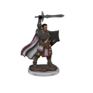 Image of D&amp;D Icons of the Realms Premium Figures (W7) Male Human Paladin