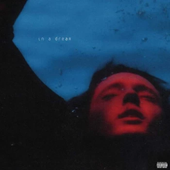 Image of Troye Sivan - In A Dream Vinyl
