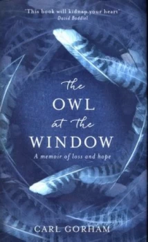 Image of The Owl at the Window by Carl Gorham Hardback