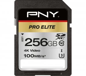 Image of Pro Elite Class 10 SDXC Memory Card - 256GB