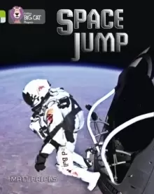 Image of Space Jump : Band 11 Lime/Band 17 Diamond